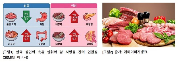 "소·돼지 위암 낮추고 내장육은 유방·췌장암 높여"