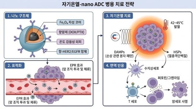 서울대병원 연구팀, 나노기술 적용 차세대 암 면역치료 전략 제시